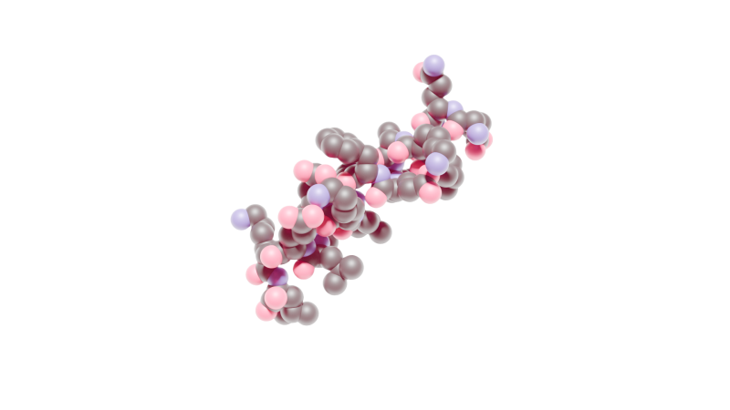 Rendering of a peptide