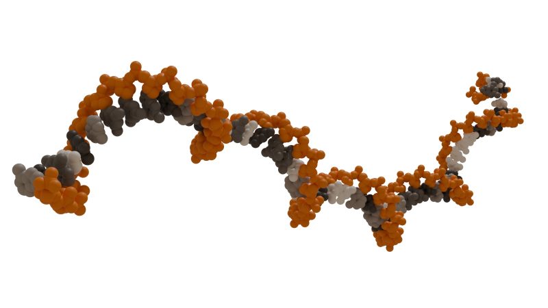 RNA illustration